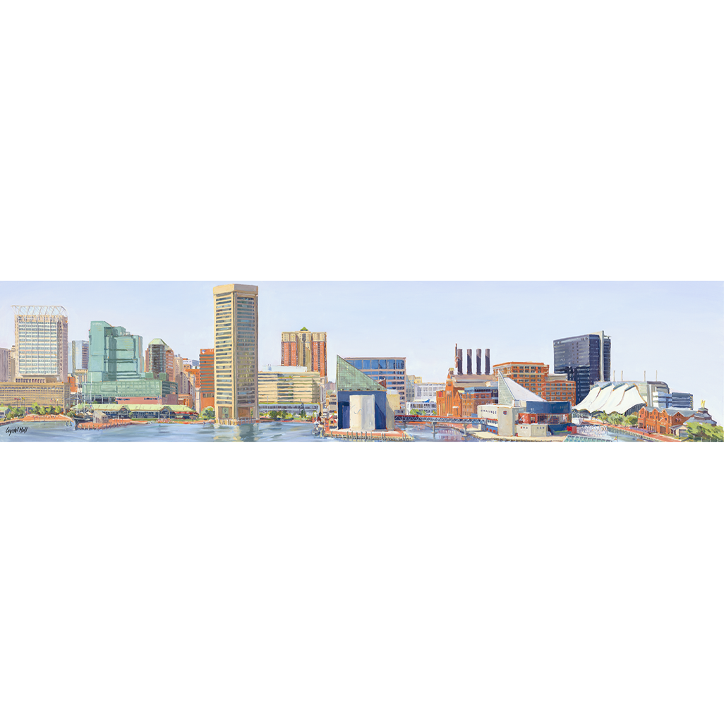 Our Harbor From Federal Hill Scarf